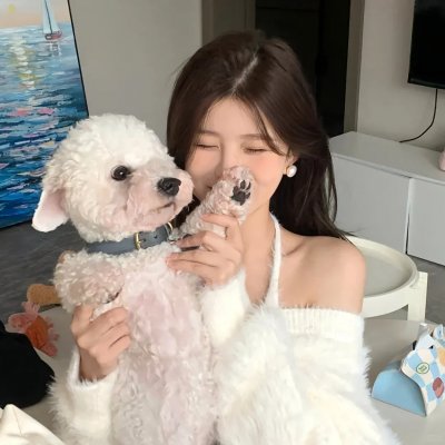 破碎的王冠